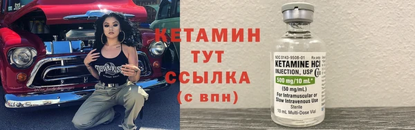 сатива Верея