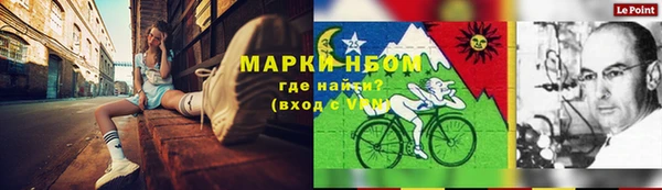 сатива Верея
