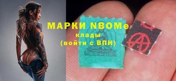 сатива Верея