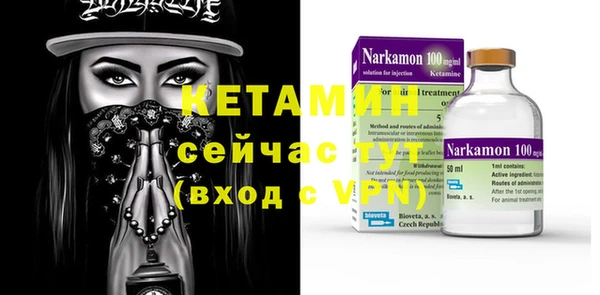 сатива Верея