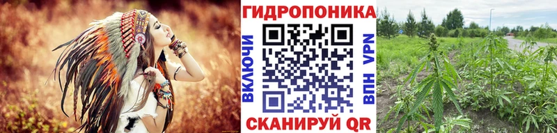 Бошки марихуана OG Kush Кызыл